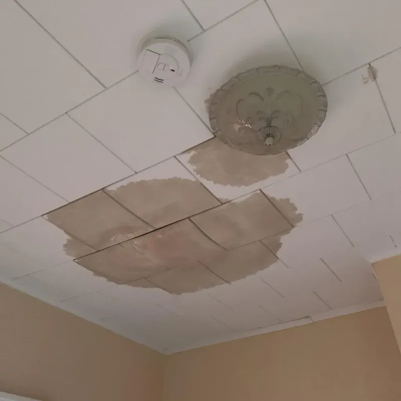 Ceiling Water Damage Repair in Wayne County, PA