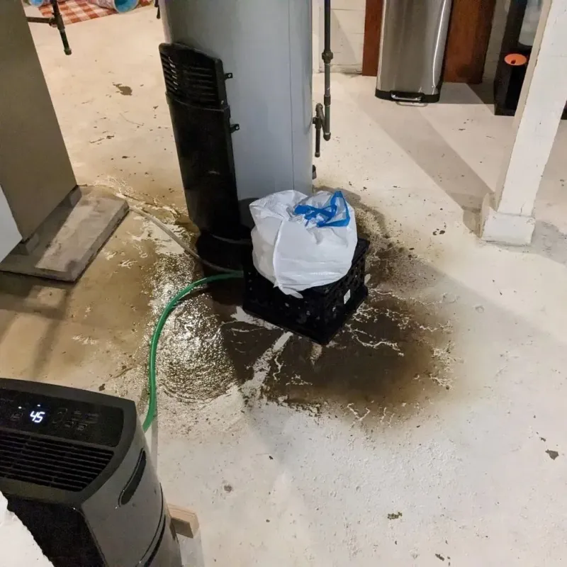 Sewage Backup Cleanup Service in Wayne County, PA